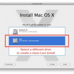 clean lion install