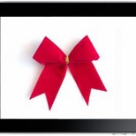 ipad with bow1