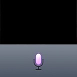 siri ipod touch copy