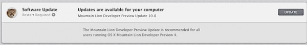 mountain lion dp4 update 2