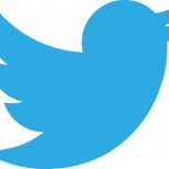 new twitter logo