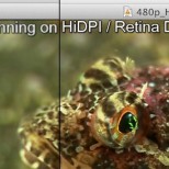 retina vlc