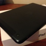 ipad mini lte delivered