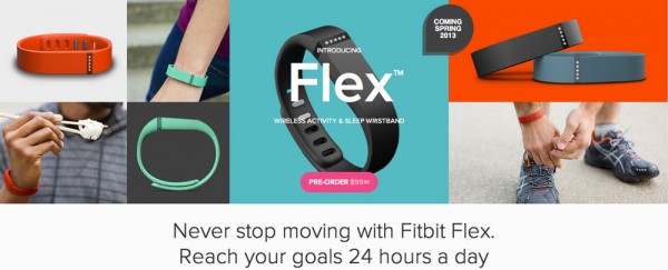 flexfitbits