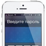 iOS 6 0