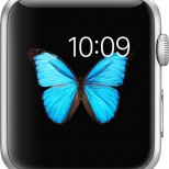 Apple Watch display