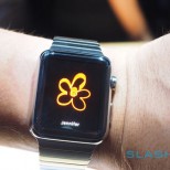 apple watch hands on sg24