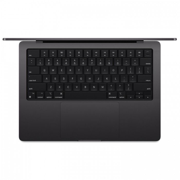 Apple MacBook Pro 14" 2024 (MX2G3) M4 Max 14 CPU/32 GPU/36 Гб/1 Тб SSD/Серебристый (Silver) Ноутбук