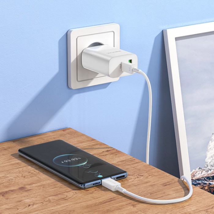 Borofone BN10 Sunlight PD3.0 USB + USB Type-C + Кабель Type-C (65 Вт) Сетевое зарядное устройство