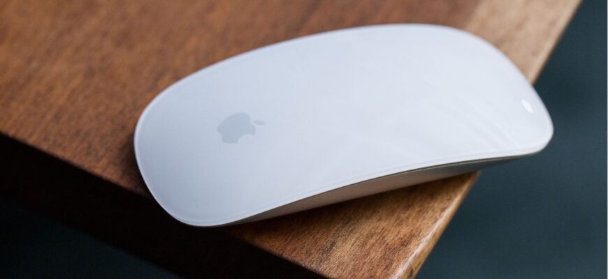 magic mouse