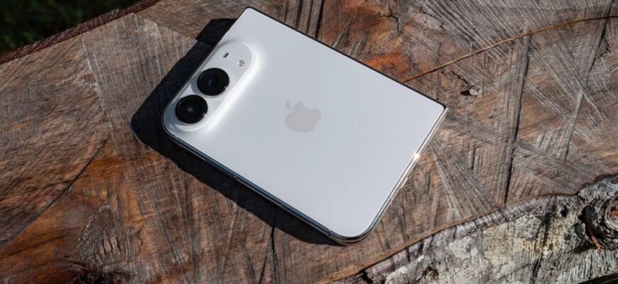 iphone duo 31
